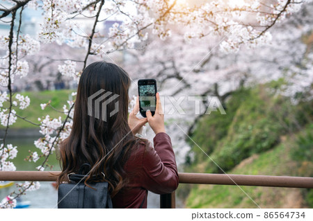 Woman take a photo at Cherry blossom along river in Tokyo, Japan. Woman take a photo at Cherry blossom along river in Tokyo, Japan. 86564734