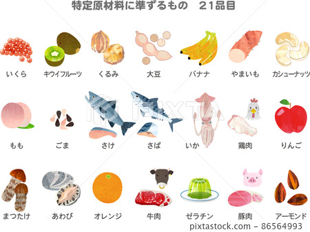 List of 21 items equivalent to specific raw materials for food allergies Illustration List of 21 items equivalent to specific raw materials for food allergies Illustration 86564993