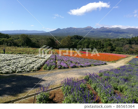 遠眺那須山的那須花卉世界花園風景 遠眺那須山的那須花卉世界花園風景 86565364