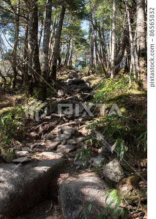 Cobblestones and bamboo grass on the Hirokawara route of Mt. Ena, one of the 100 famous mountains in Japan during the autumn colors between Achi Village in Nagano and Nakatsugawa in Gifu. 86565832