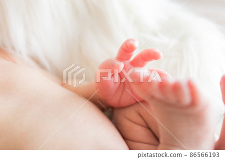 新生兒的手 86566193