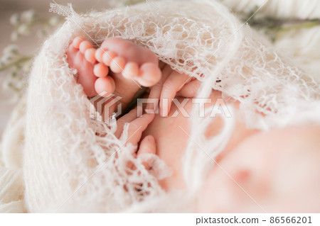 剛出生的嬰兒分開（新生兒照片） 86566201