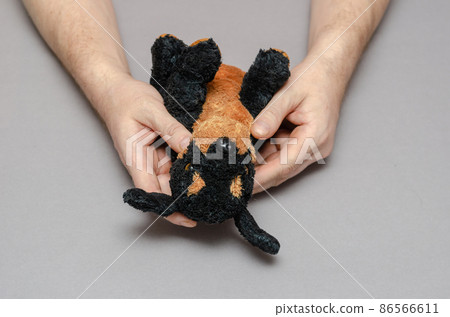 A middle-aged man's hands hold a stuffed toy dog against a gray background.  86566611