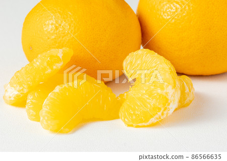 Mandarin orange _ sweet summer 86566635