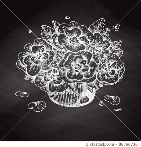 Flowers in a vase. Bouquet isolated on a white background. Vector illustration Flowers in a vase. Bouquet isolated on a white background. Vector illustration 86566730