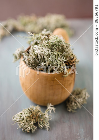 Icelandic moss in a wooden mug 86566791