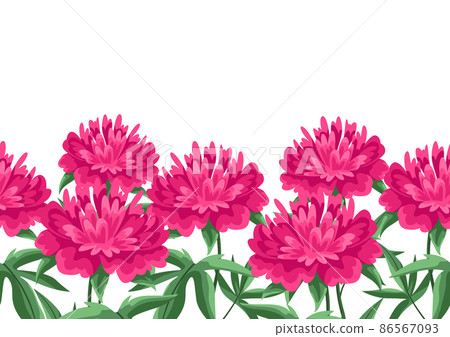 Background with peonies flowers. Beautiful decorative spring plants. Background with peonies flowers. Beautiful decorative spring plants. 86567093