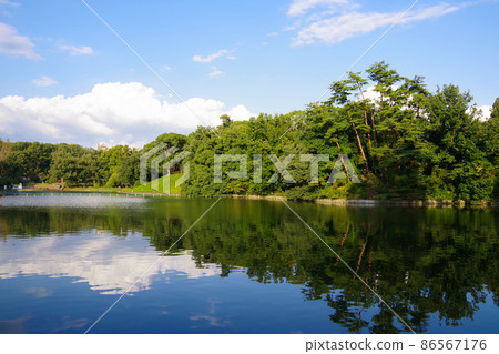 城市公園、鬱鬱蔥蔥的公園、池塘、休息處、新城 86567176