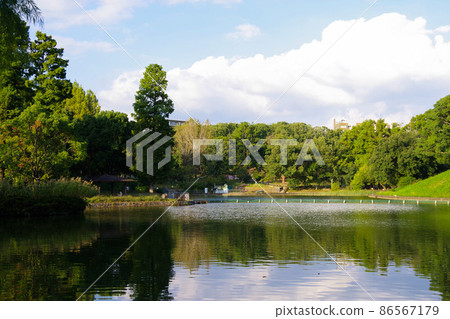 城市公園、鬱鬱蔥蔥的公園、池塘、休息處、新城 城市公園、鬱鬱蔥蔥的公園、池塘、休息處、新城 86567179