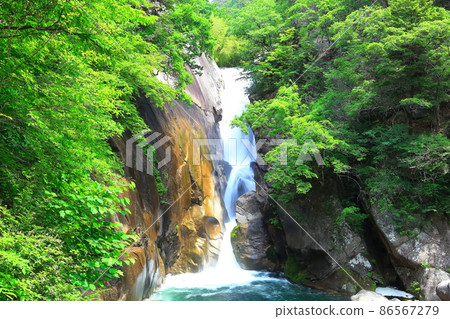[Yamanashi Prefecture] Fresh green Senga Falls (Shosenkyo) 86567279
