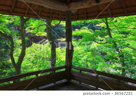 [Yamanashi Prefecture] Resting place in the fresh green of Shosenkyo 86567281