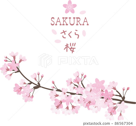 櫻花枝春圖 櫻花枝春圖 86567304