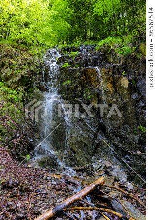 Small waterfall in a humid dark forest in Romania. 86567514