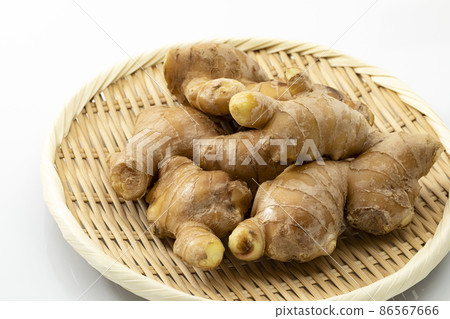 Ginger on a colander_white background 86567666