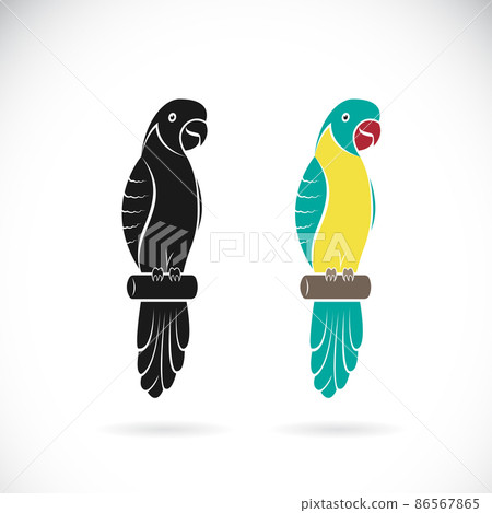 Vector of two parrot design on white background. Easy editable layered vector illustration. Animals. Pet. 86567865