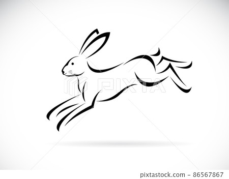 Vector of rabbit running design on white background. Easy editable layered vector illustration. Wild Animals. 86567867