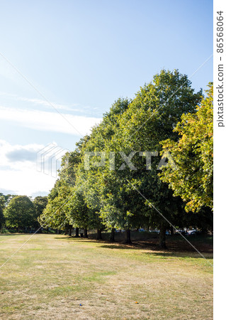 一個寬敞的公園,在明亮的藍天和白雲下有大樹 一個寬敞的公園,在明亮的藍天和白雲下有大樹 86568064