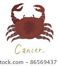 12 constellations_illustration_cancer 86569437
