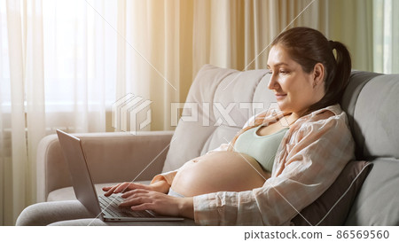 Pregnant woman freelancer works at home using laptop on sofa Pregnant woman freelancer works at home using laptop on sofa 86569560