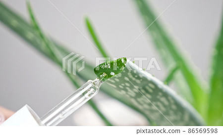 Laboratory worker takes juice from aloe plant with dropper 86569598