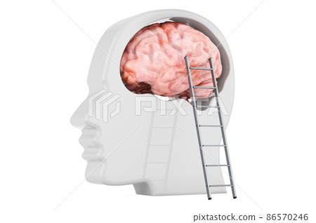 Head with brain and staircase, 3D rendering 86570246