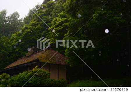 Thatched house on a rainy day Thatched house on a rainy day 86570539