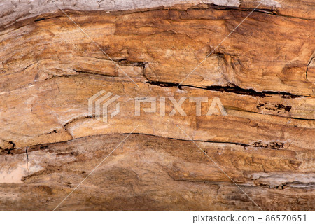 texture of bark wood use as natural background. texture of bark wood use as natural background. 86570651