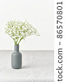 Gypsophila flowers in vase. Soft light, Scandinavian minimalism, white walls 86570801
