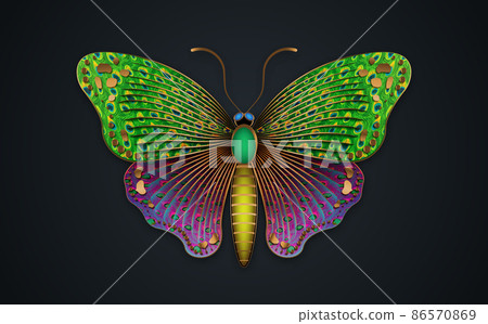 Gold luxury decorative Butterfly colorful... - Stock Illustration  [86570869] - PIXTA