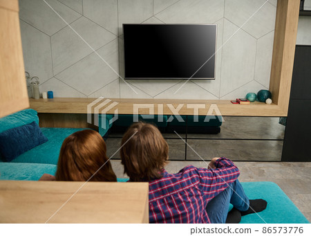 Rear view of a loving adorable couple watching TV sitting on the couch at home, enjoying their weekend together. Happy family relationships, tenderness, togetherness, closeness, love concept 86573776