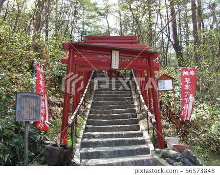 Torii of Kusatsu Anamori Inari Shrine 86573848