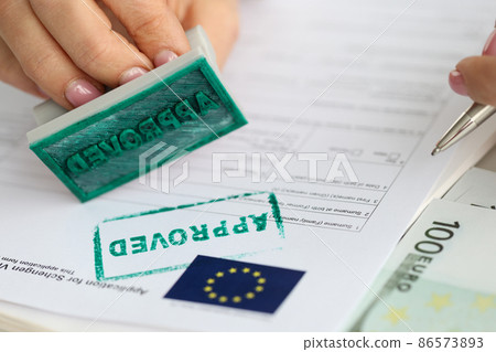EU visa application approved. Document applying for entry into European Union EU visa application approved. Document applying for entry into European Union 86573893