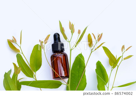 Eucalyptus essential oil bottle with leaves on white background. 86574002