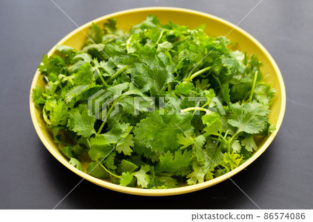 Fresh coriander leaves in yellow plate on dark background. Fresh coriander leaves in yellow plate on dark background. 86574086
