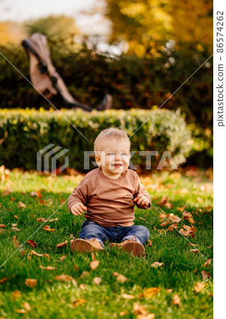 a cute little blonde boy in a brown sweater on a green lawn with autumn leaves.  86574262