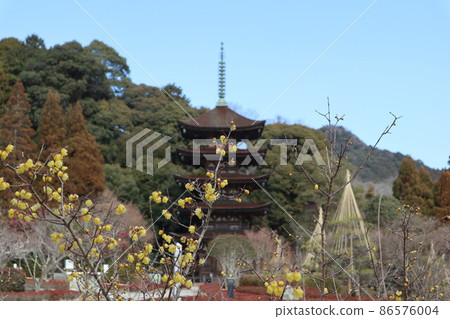山口梅薰 琉璃光寺 山口梅薰 琉璃光寺 86576004