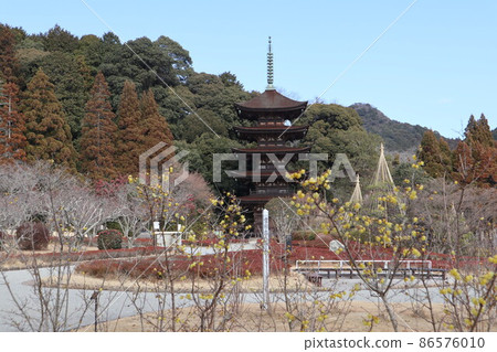 Ume Kaoru Yamaguchi Rurikoji Temple Ume Kaoru Yamaguchi Rurikoji Temple 86576010