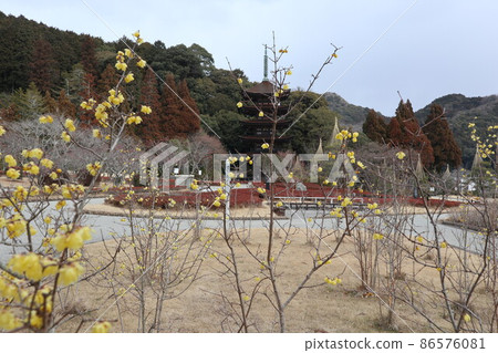 山口梅薰 琉璃光寺 山口梅薰 琉璃光寺 86576081