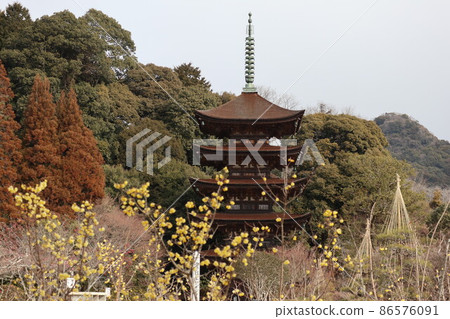 山口梅薰 琉璃光寺 山口梅薰 琉璃光寺 86576091
