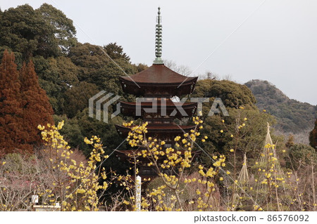 山口梅薰 琉璃光寺 山口梅薰 琉璃光寺 86576092