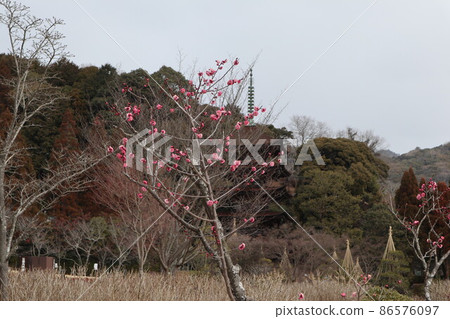 山口梅薰 琉璃光寺 山口梅薰 琉璃光寺 86576097