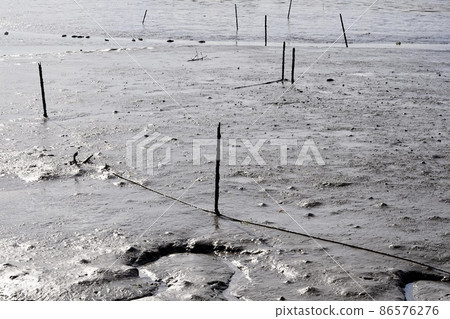 Tideland Tideland 86576276