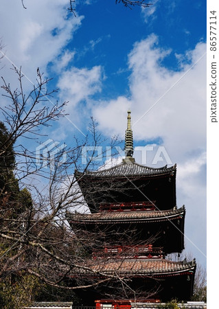 Onomichi sightseeing temple tour Onomichi sightseeing temple tour 86577114