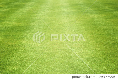 grass background Golf Courses green lawn 86577996