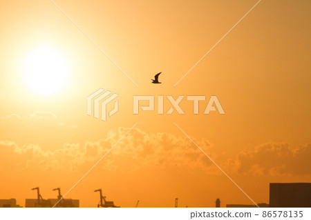 Evening view image * Tokyo Harbor 86578135