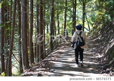 Nagano Prefecture Autumn Salt Road Walking (Around Lake Nakatsuna in Shinshu Omachi) 86578373