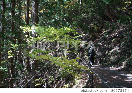 Nagano Prefecture Autumn Salt Road Walking (Around Lake Nakatsuna in Shinshu Omachi) Nagano Prefecture Autumn Salt Road Walking (Around Lake Nakatsuna in Shinshu Omachi) 86578374