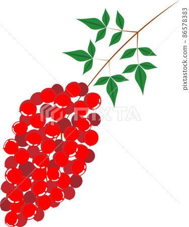 Illustration material of the southern sky fruit that has grown red as a lucky charm Illustration material of the southern sky fruit that has grown red as a lucky charm 86578383