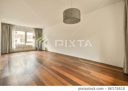 interior of a stylish empty room with houseplant near the window of the room interior of a stylish empty room with houseplant near the window of the room 86578818