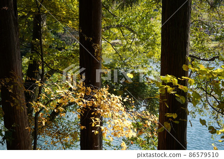 I went to Nagano Prefecture Autumn Salt Road Walking. There was a wonderful lake. (Around Lake Nakatsuna in Shinshu Omachi) I went to Nagano Prefecture Autumn Salt Road Walking. There was a wonderful lake. (Around Lake Nakatsuna in Shinshu Omachi) 86579510